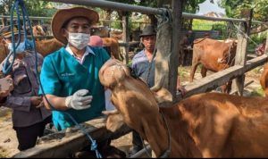 Screenshot_2022_0511_191851