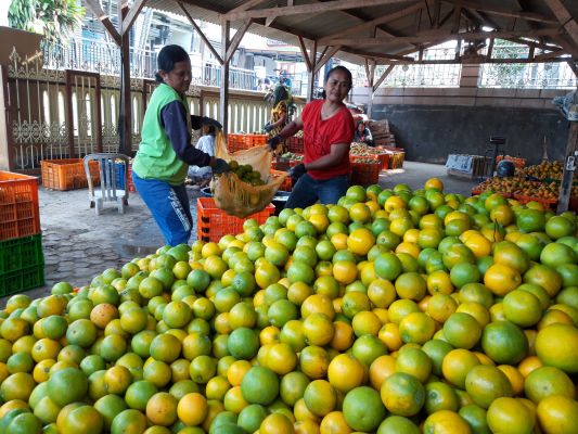 fumigasi buah buahan