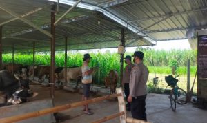 Screenshot_2022_0601_153215