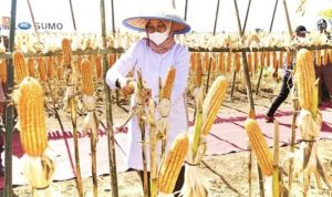 Screenshot_2023_0711_194805